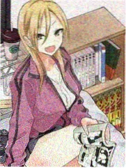 诺兰解析
